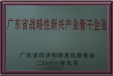 广东省战略性新兴产业骨干企业